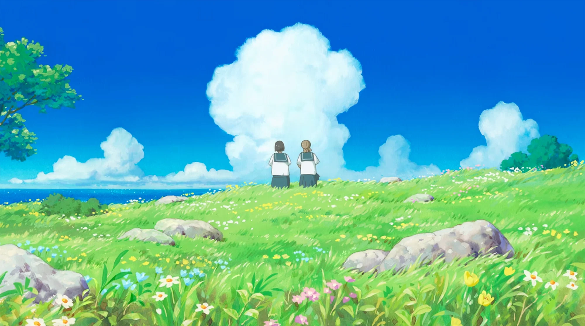 Official US Trailer for 'cocoon – One Summer of Girlhood' Anime Film